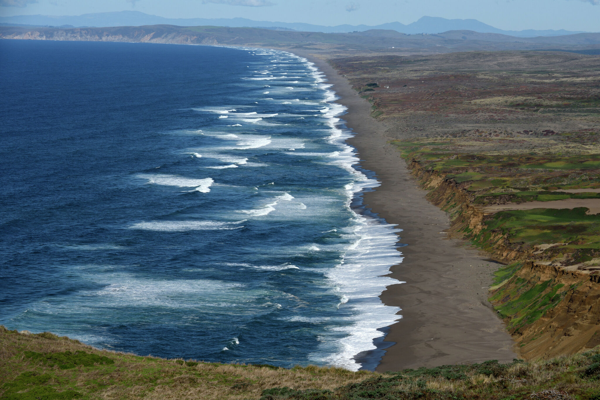 Access to Point Reyes beach denied so plovers can thrive