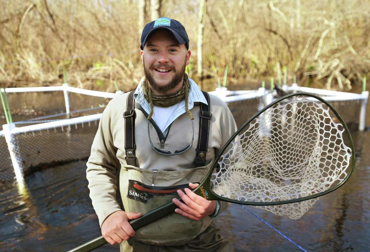 A mystery as alewives drop in numbers across Connecticut