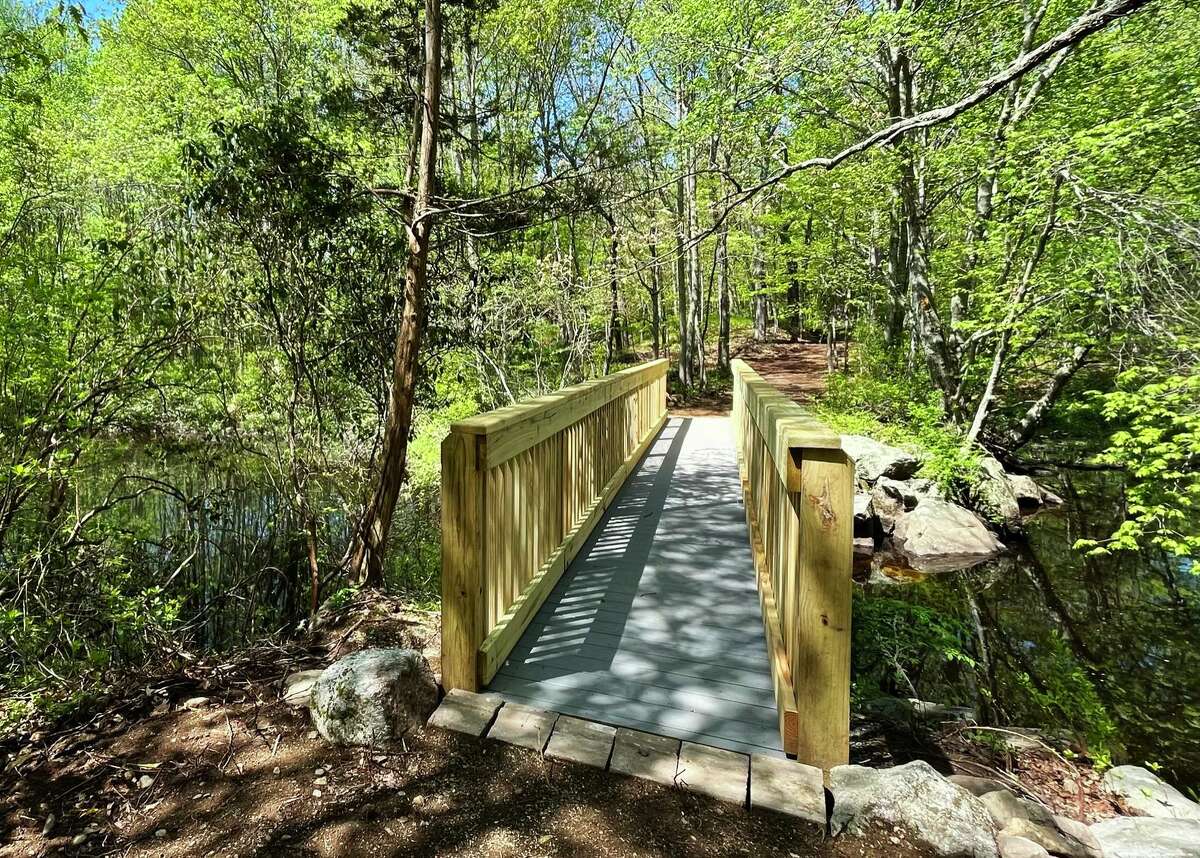 Participants take part in a hike at the Platt Nature Center during Connecticut Water's 2021 Connecticut Trails Day observance.