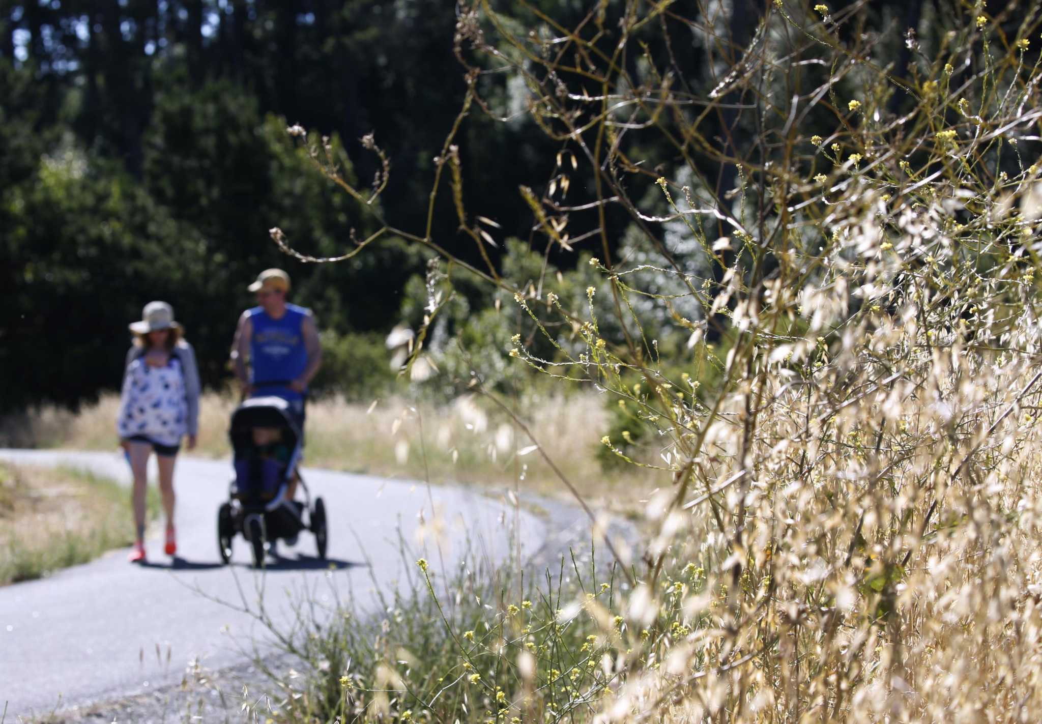 Record red flag warnings in these California regions signal dire fire season ahead - Vimarsana News