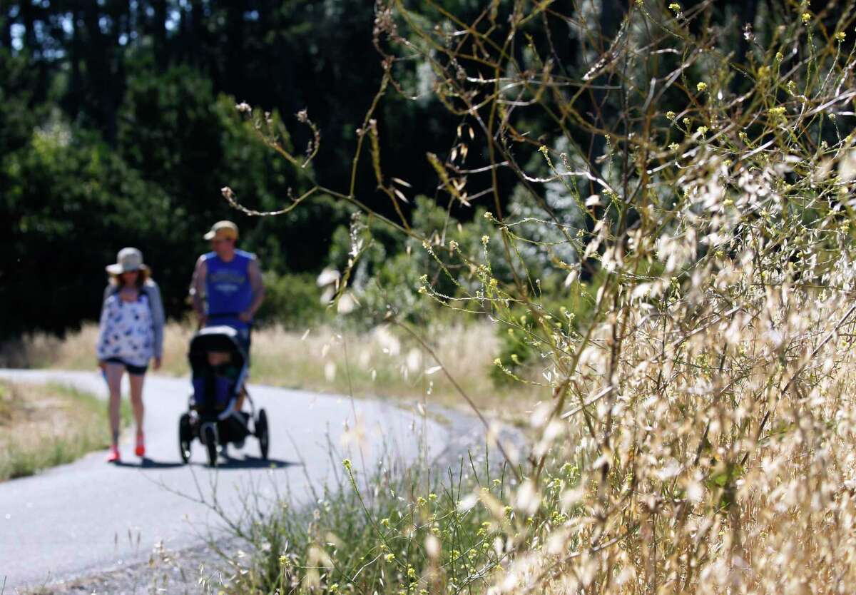 The Nimitz Way trail in Tilden Regional Park near Orinda is lined with dry brush. North of the Bay Area region, the National Weather Service Sacramento issued three red-flag warnings in May, which sets a record for at least the past16 years.