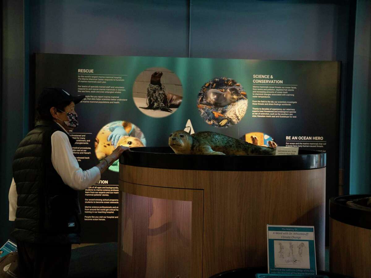 Displays at the visitor center at the Marine Mammal Center on the first day the Sausalito animal hospital reopened to the public since the start of the pandemic.