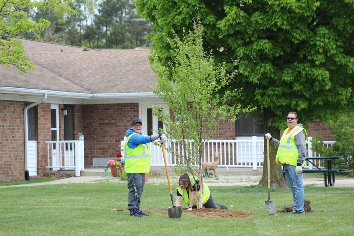 Evart plants trees with Muskegon River Watershed Assembly donations ...