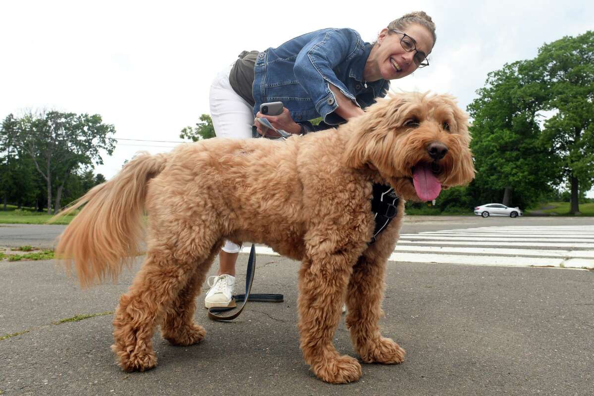 Ellyn Weitzman walks her goldendoodle Mookie at Longshore Club Park, in Westport, Conn. June 1, 2022. Dog park enhancements are part of a series of proposals Weston is considering funding through federal ARPA funds.