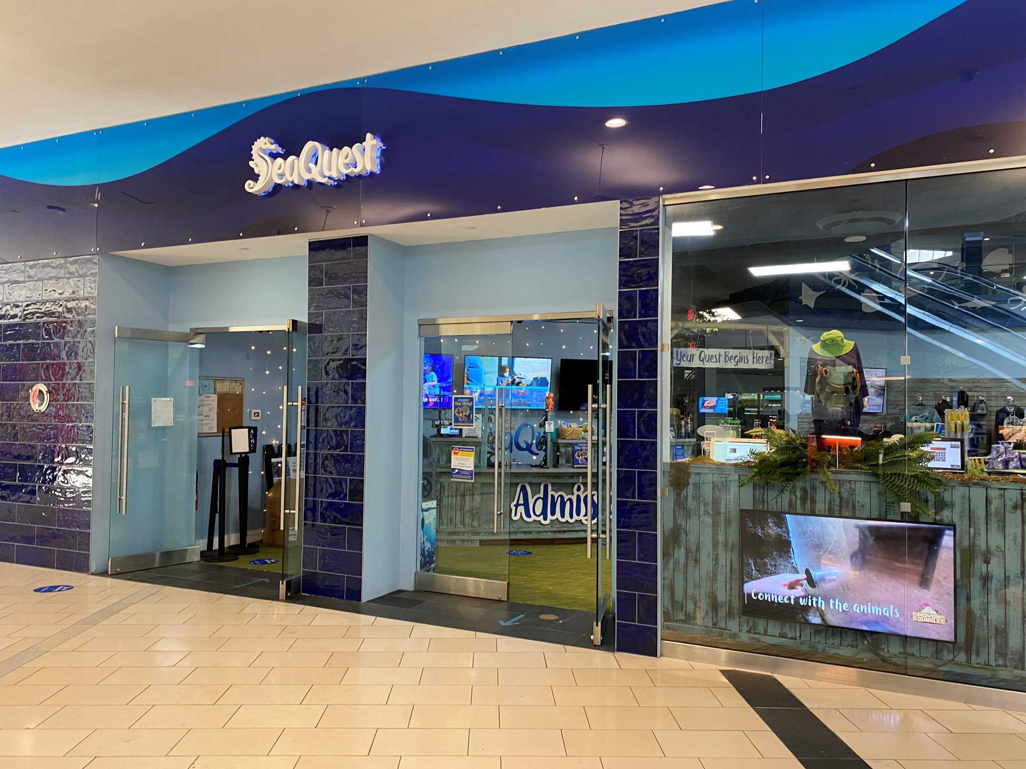SeaQuest Trumbull to remove some animals in deal with DEEP - Vimarsana News