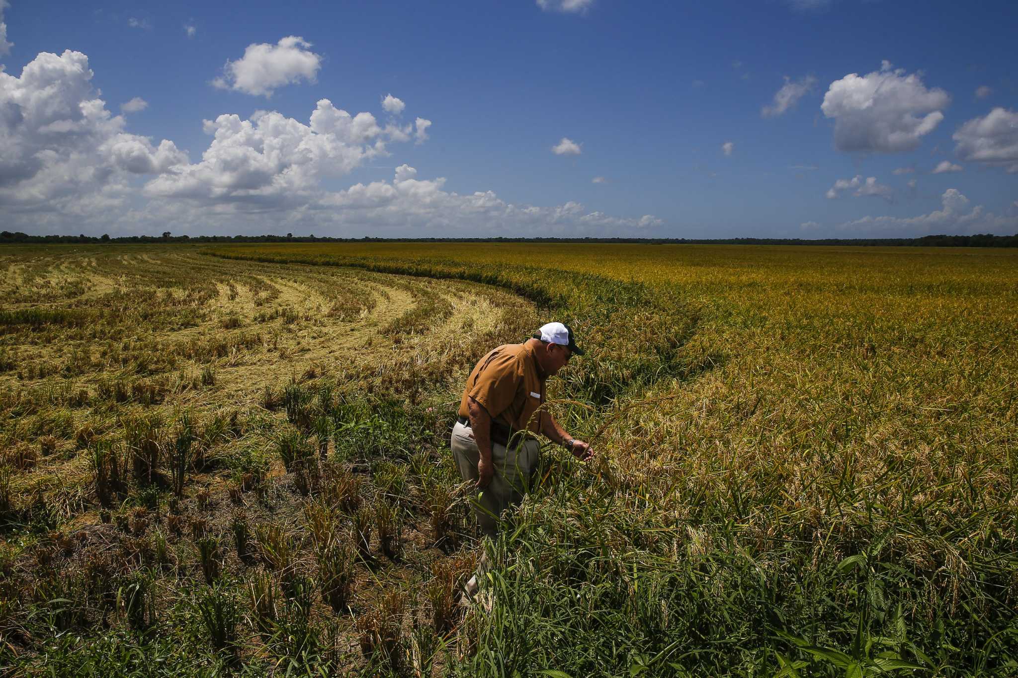 Opinion How Texas farmers can profit while pumping carbon into the soil