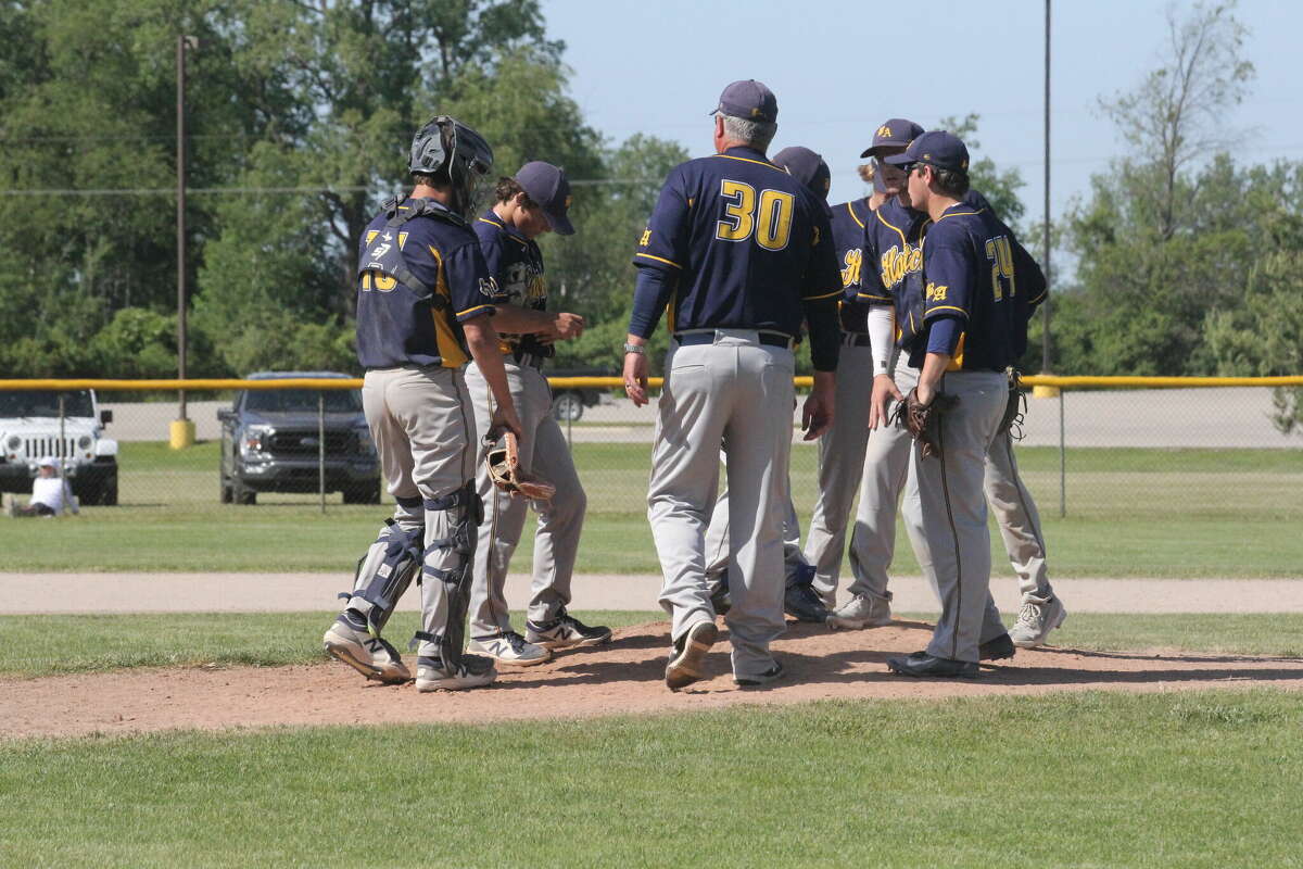 Bad Axe baseball wins district title