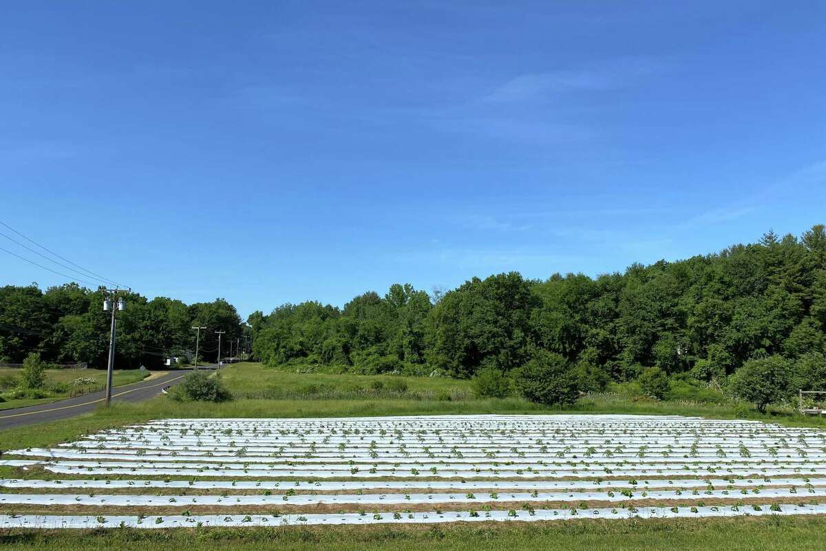 Police Man crashed near CT airport, flew home in friend’s plane