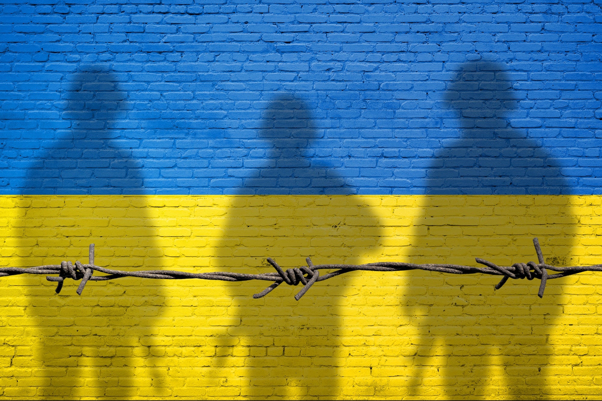 How the War in Ukraine Affected Digital Business Processes - Vimarsana News