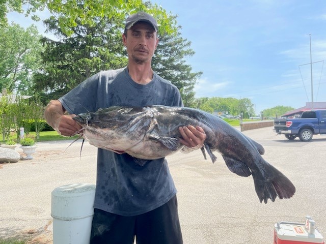 Indiana man lands flathead catfish in Michigan that breaks state record - Vimarsana News