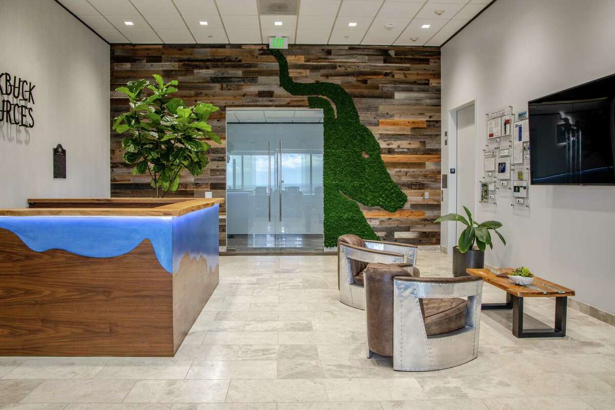 Interior designer Yesely Love of Canaima Designs used live plant material in a wall treatment for her client at Blackbuck Resources in Houston. Live plants help improve air quality and add to the quality of life of those working in the offices during the day.