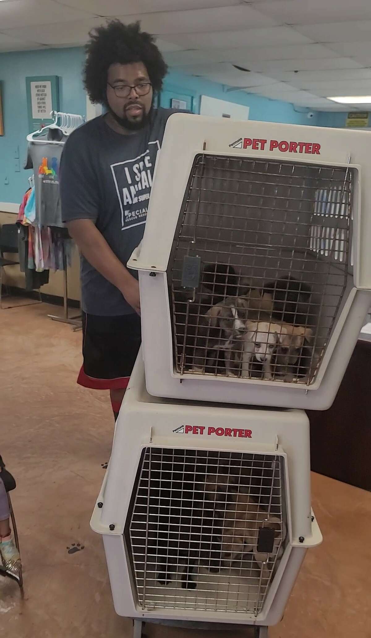 Special Pals volunteer Giordan Porter moves 20 puppies into the shelter on Monday, June 7, 2022.