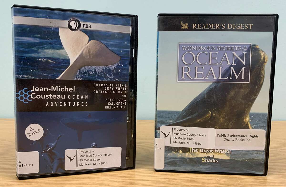 Access the secret world of whales and sharks. “Wondrous Secrets of the Ocean Realm: Great Whales and Sharks” introduces the viewer to the distinctive behaviors of whales and sharks.
