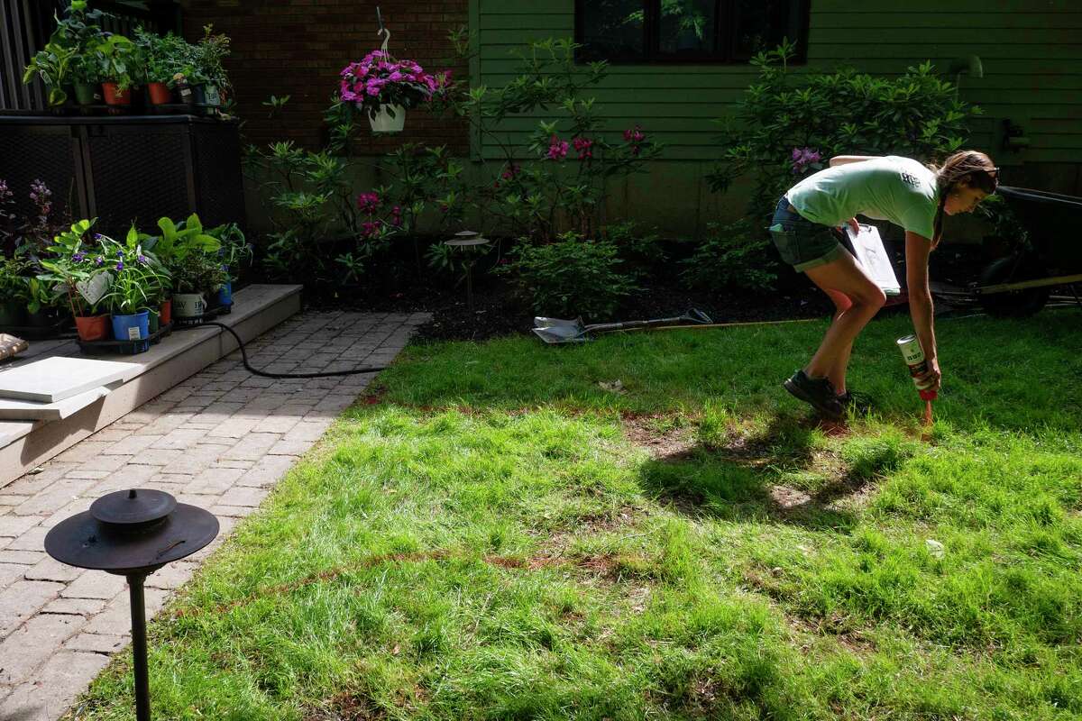 Sarah Hunt, owner of Dirt and Decor Designs, marks out the area where she and her crew will be installing a walkway for a customer on Tuesday, June 7, 2022, in Clifton Park, N.Y. (Paul Buckowski/Times Union)