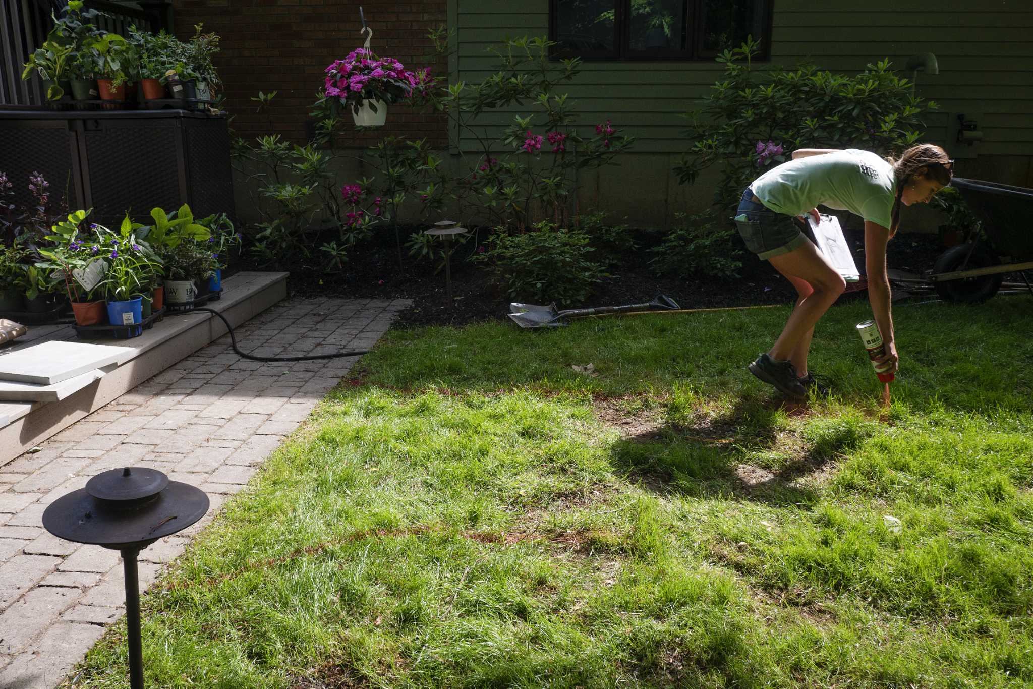 How to increase curb appeal to houses on the market - Vimarsana News