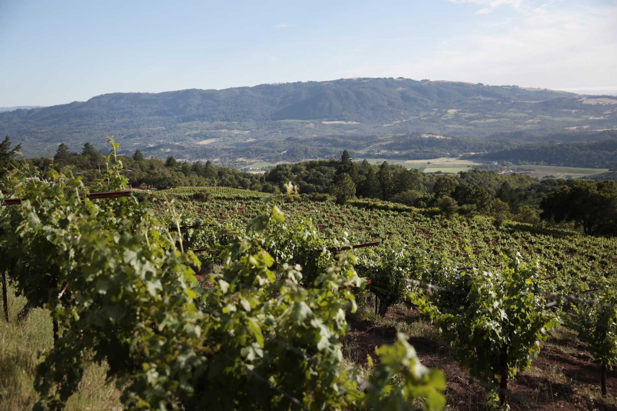 Napa's Stewart Cellars acquires Montecillo Vineyard in Sonoma - Vimarsana News