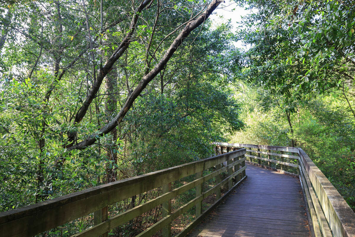 Bird area of Houston Arboretum Nature Center.