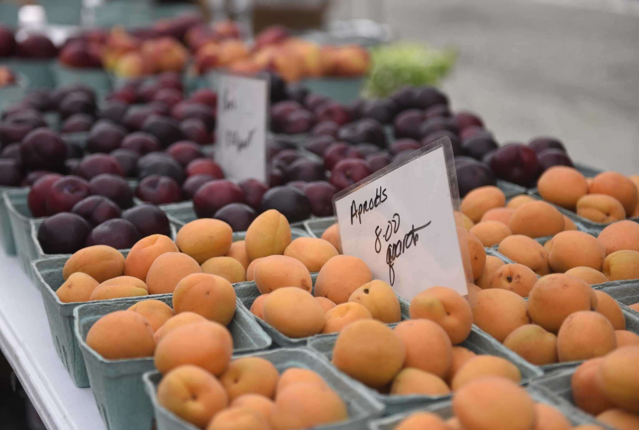 Stamford Downtown finds new home for summer farmers’ market