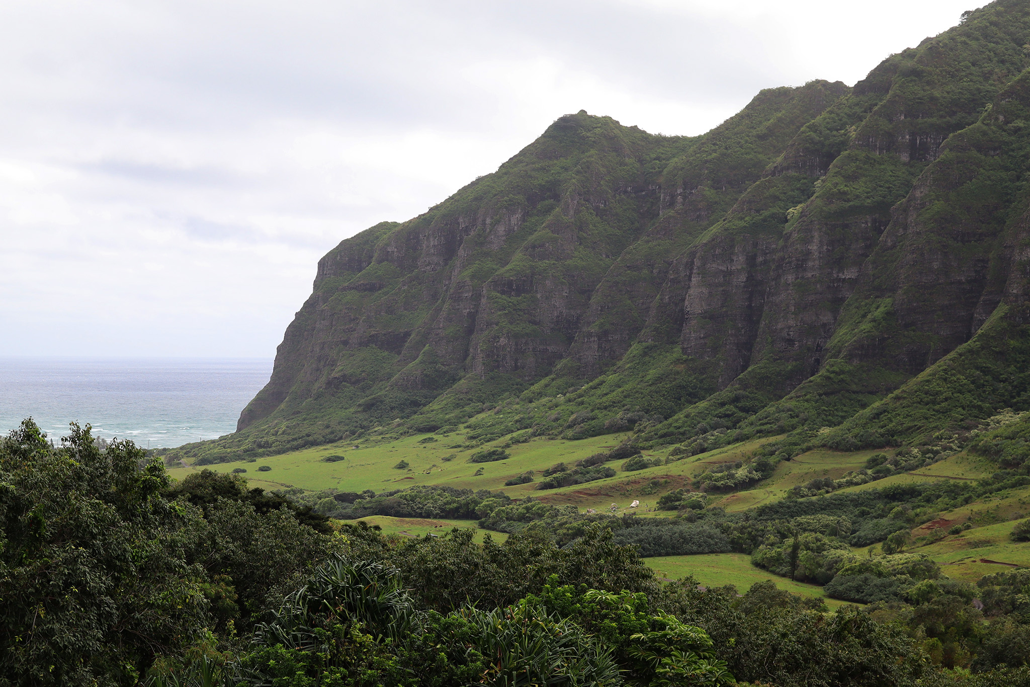 Visit the real Jurassic Park, including dinosaurs, in Hawaii - Planet ...