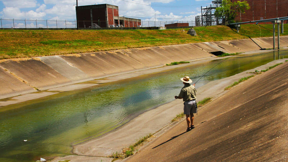 Mark Marmon casts a fly to Asian grass carp finning in the concrete-lined reach of Brays Bayou inside Houston's Inner Loop.