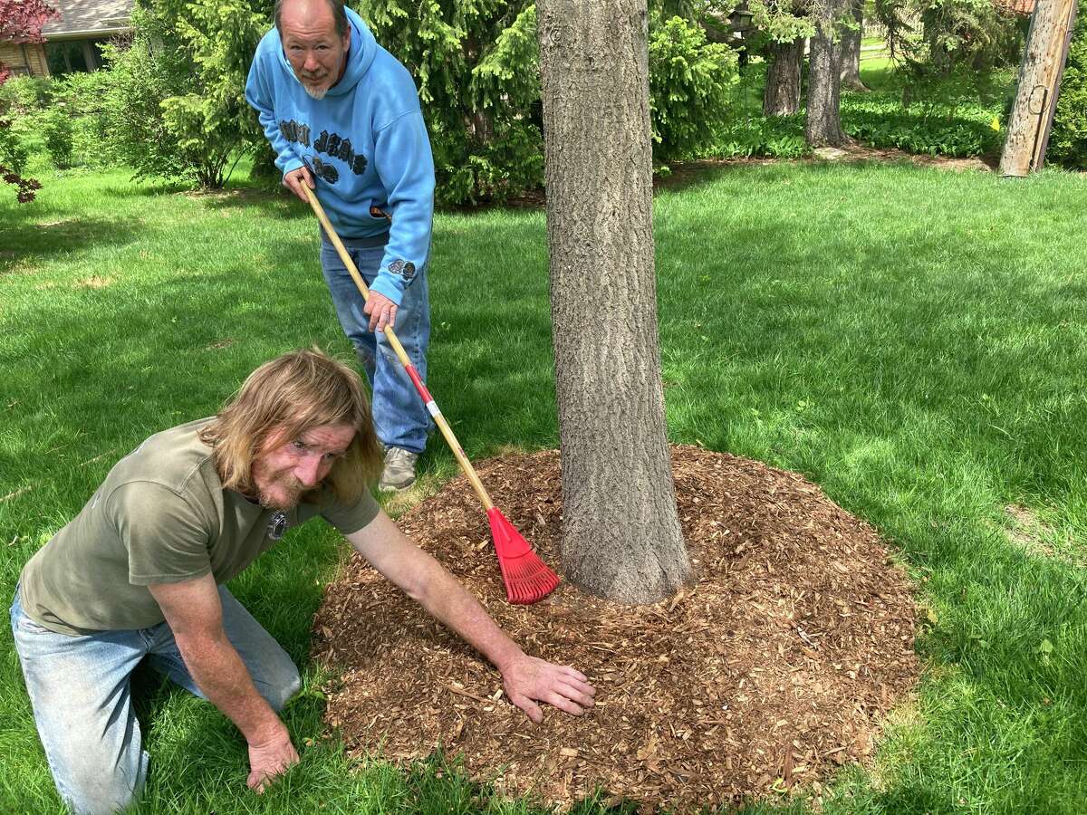 Landscaper Josh Roberts (standing) and co-worker Doug Lowe show how to correctly mulch around a tree, avoiding mulching at the trunk.