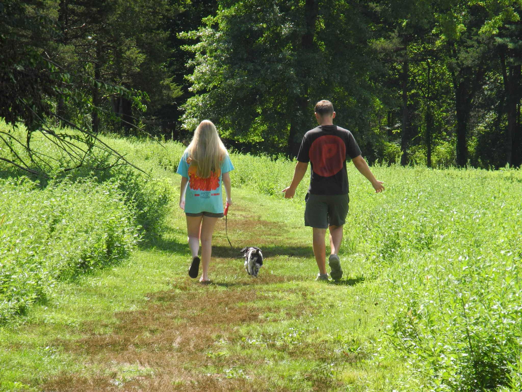 Wilton prioritizes spending on parks, Town Hall upgrades and athletic fields - Vimarsana News