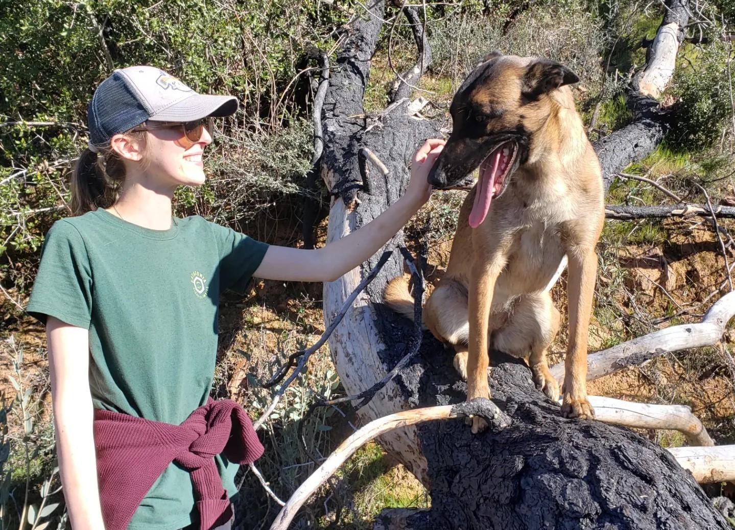 Dog who rescued owner in Northern California mountain lion attack dies from injuries - Vimarsana News