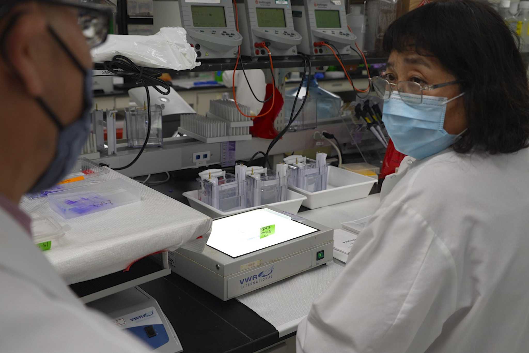 Novavax's COVID vaccine could soon be available in the US - Vimarsana News