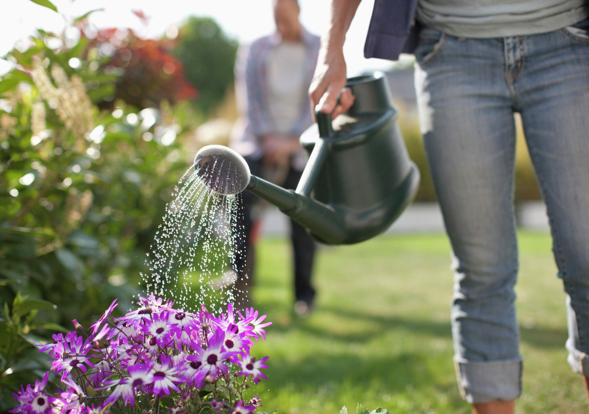Creating summer's hottest gardening trends - Vimarsana News