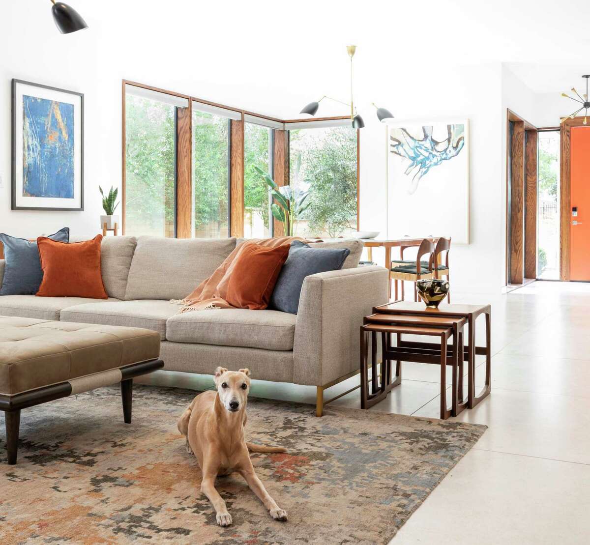 Leslie Hanna and Ryan Lawrence bought a home in Southgate and expanded by adding a second floor. Here, their 13-year-old whippet Cosby relaxes in the living room. Artwork at left in the photo is “Arena II” (1999), acrylic and gold leaf on paper by Steven Alexander.