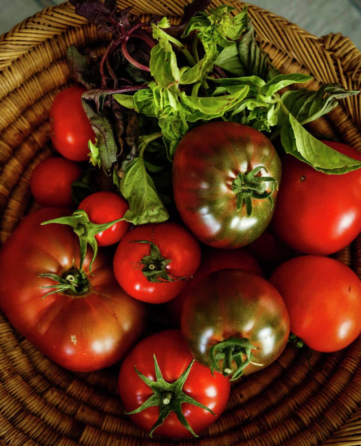 Tomatoes and basil complement each other on the plate and in the garden.