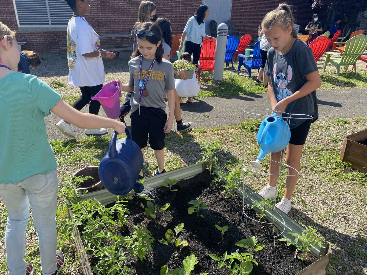 Perry Hill School students water plants and weed gardens in the school's outdoor classroom.