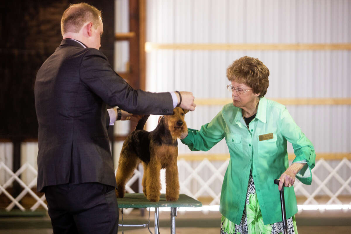 SEEN Midland Michigan Kennel Club Dog Show held at Midland County