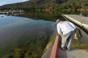 Why toxic algae blooms are on the rise across California — and expected to get worse