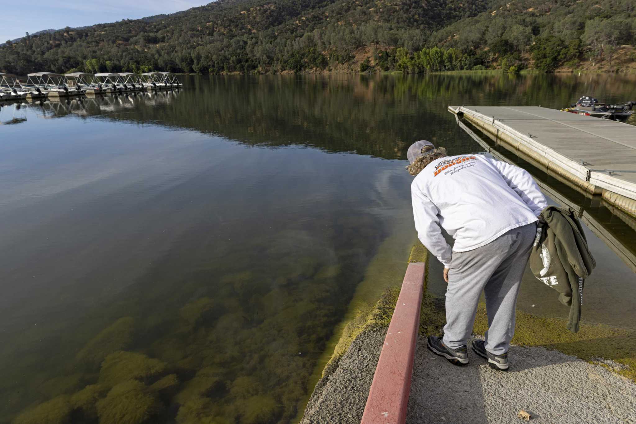Why toxic algae blooms are on the rise across California — and expected to get worse - Vimarsana News