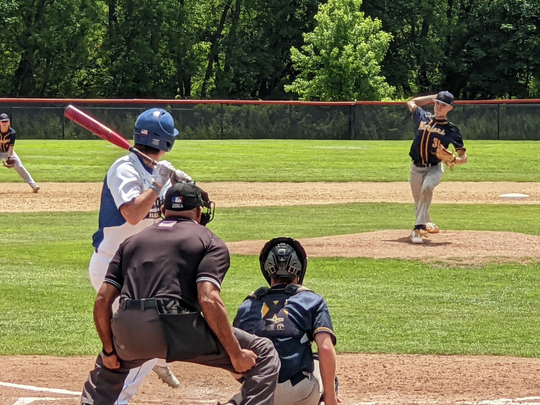 Nardacci leads Averill Park to Class A baseball state final