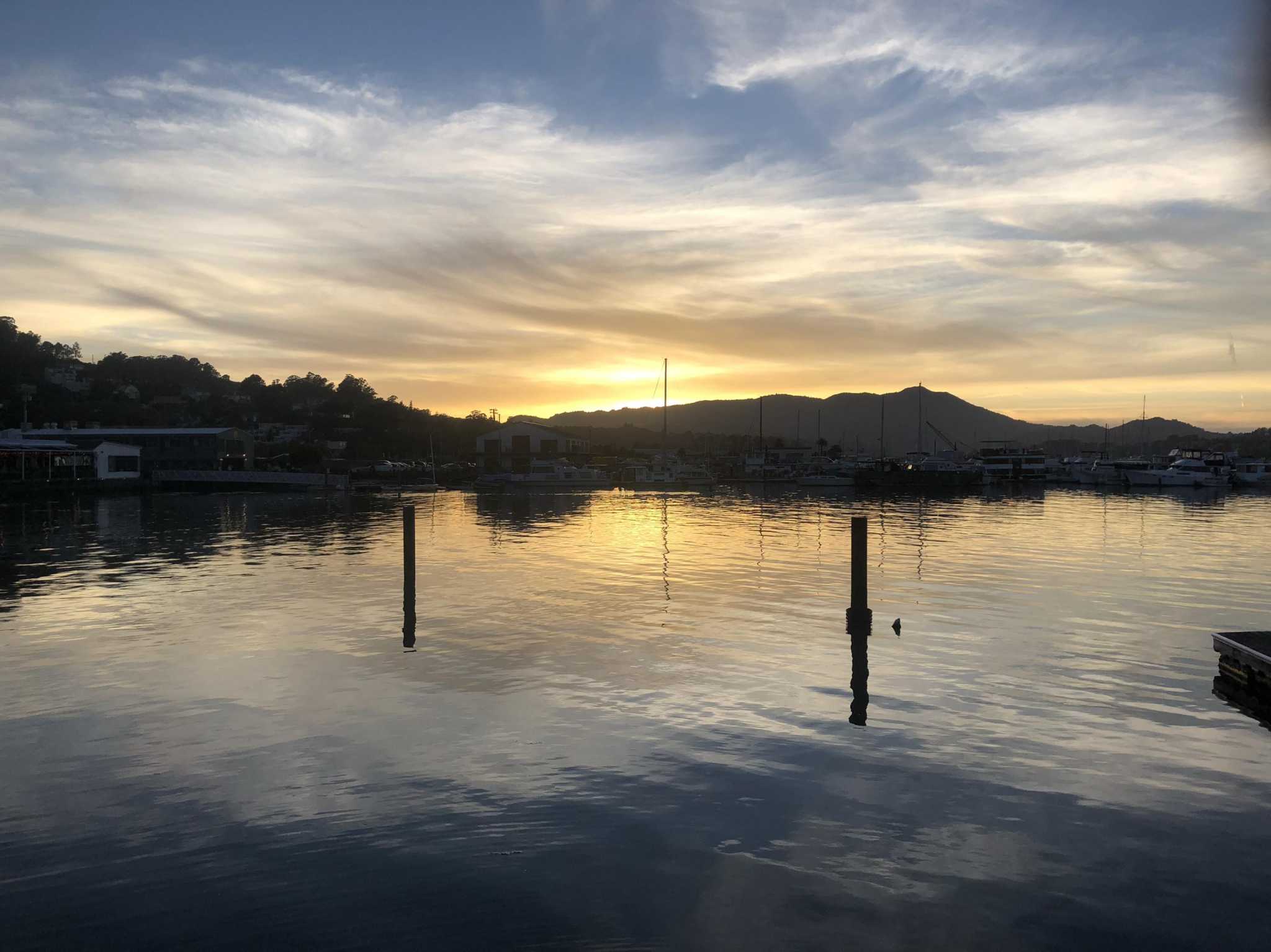 Here's why June is the very best month in San Francisco - Vimarsana News