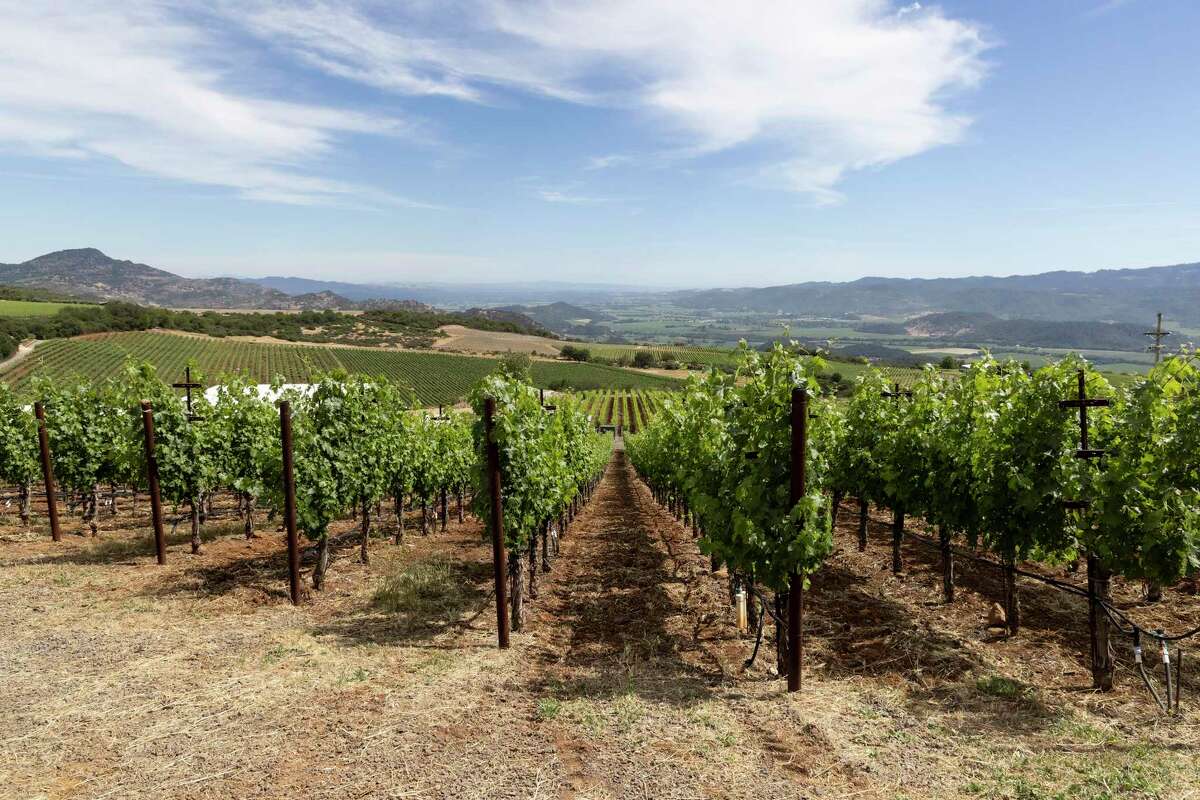 A view of the Houyi Vineyard, a 40-acre estate in the prestigious Pritchard Hill region in St. Helena, California.