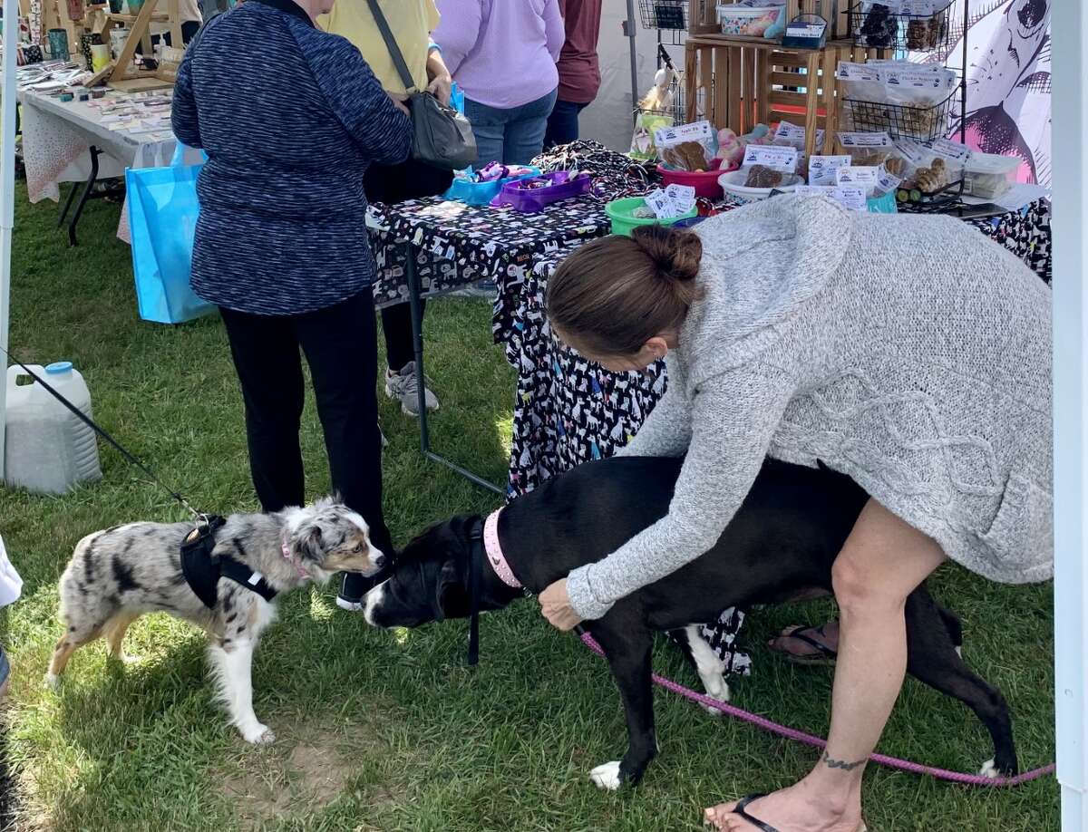 Reed City Community Education hosted a “Shop around the track” summer craft show this weekend at the Reed City High School track. Over 75 crafters and vendors were on hand selling handmade items and specialty gifts. The foundation collected food items for local food pantries during the event. Zendodles Food Truck was there, along with face painting and painting classes.