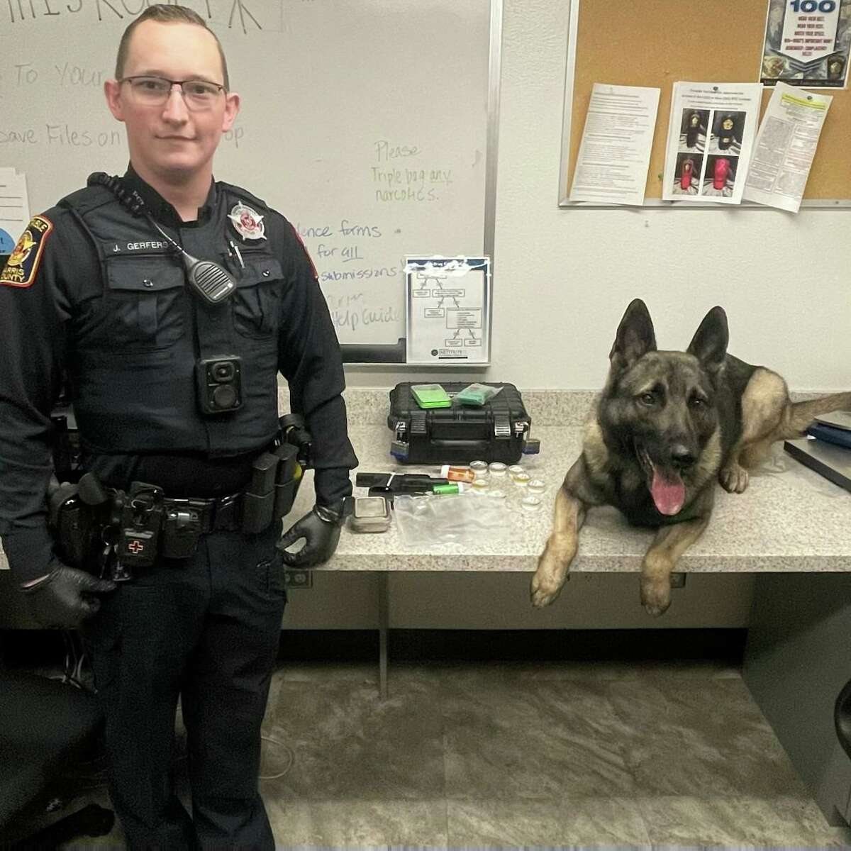 Deputy Jared Gerfers with Ted Heap, Harris County Constable Precinct 5, poses with police K-9 Tiger after a drug and weapons arrest in Northwest Houston on Friday, June 10.
