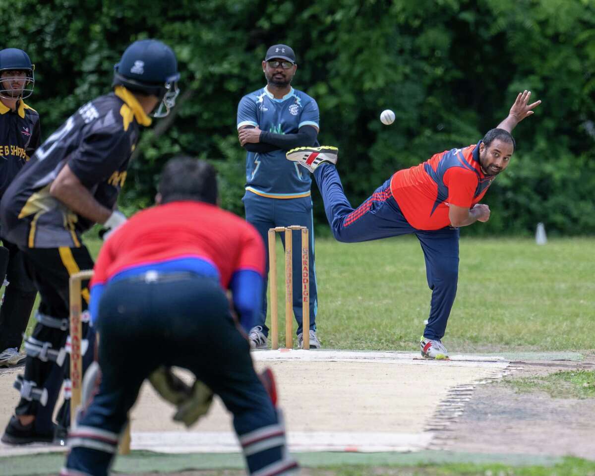 Cricket Day at the Park