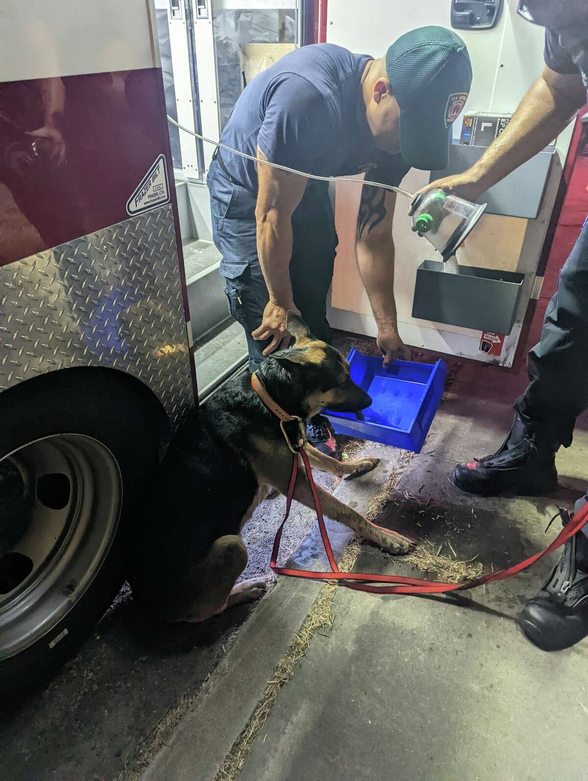Firefighter treats a dog that was rescued from the home.