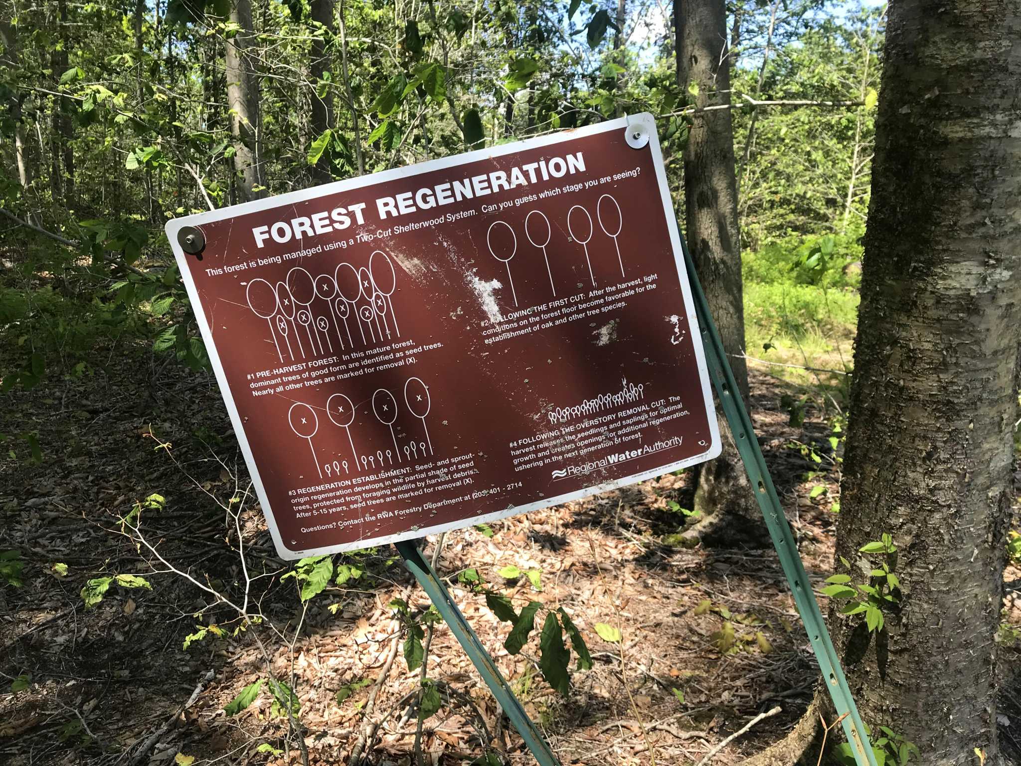 Lower Middlesex County towns receive portion of $7.29 million in open space grants - Vimarsana News