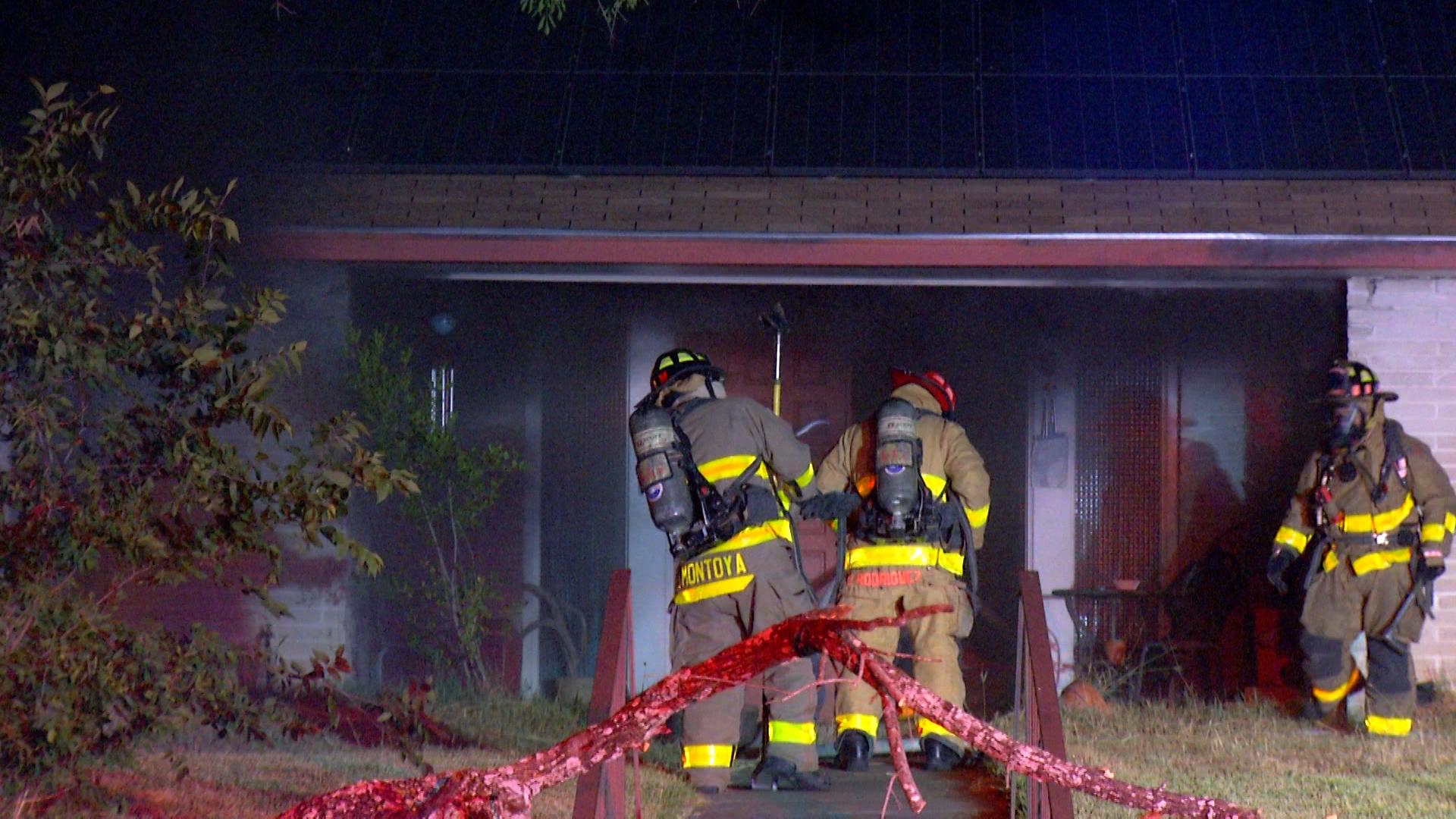 Elderly woman and her pets killed in fire in a North Side home