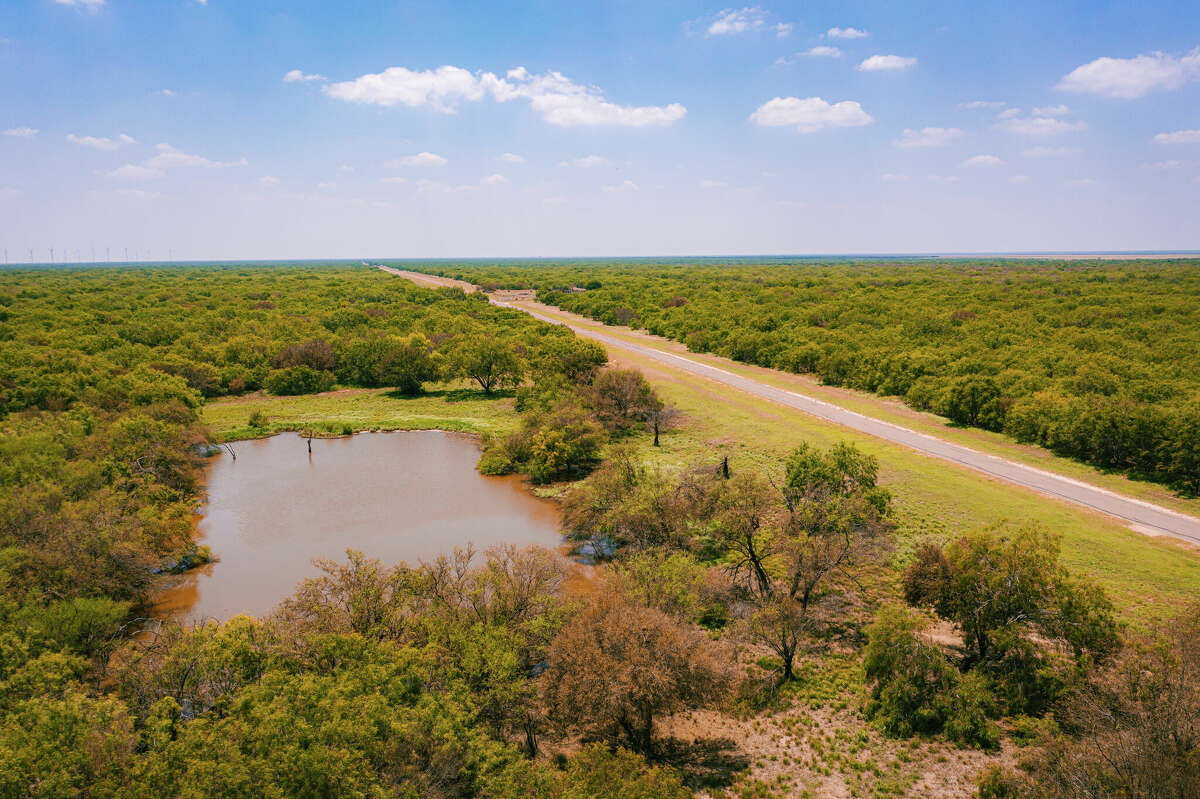 Arrowhead Ranch near Edinburg in the Rio Grande Valley.