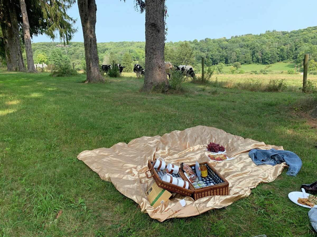 International Picnic Day is June 18, so pack your basket and head to one of these five Hudson Valley spots in the region to indulge in provisions and enjoy the scenery.