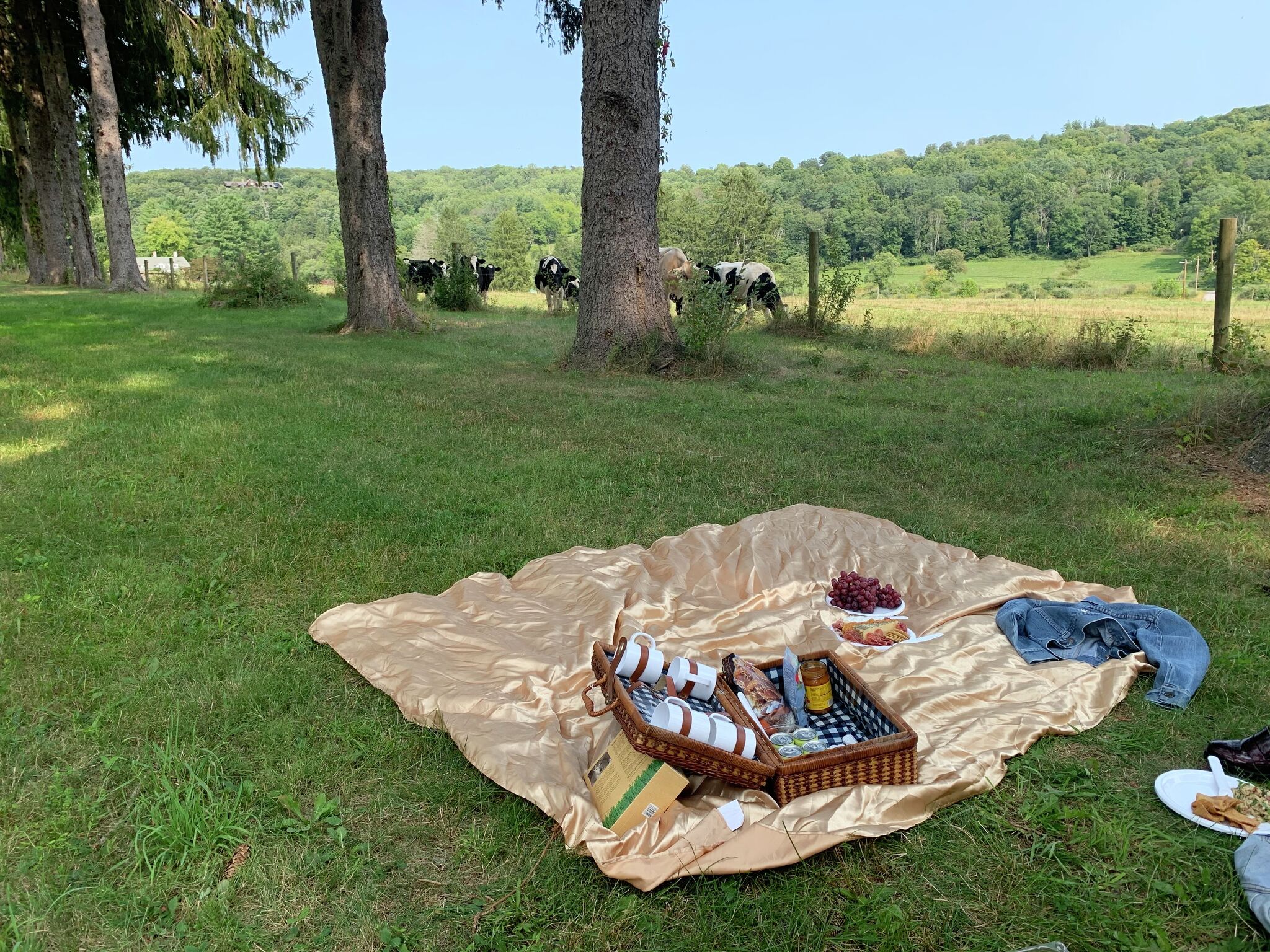 Best Picnic Spots In The Hudson Valley
