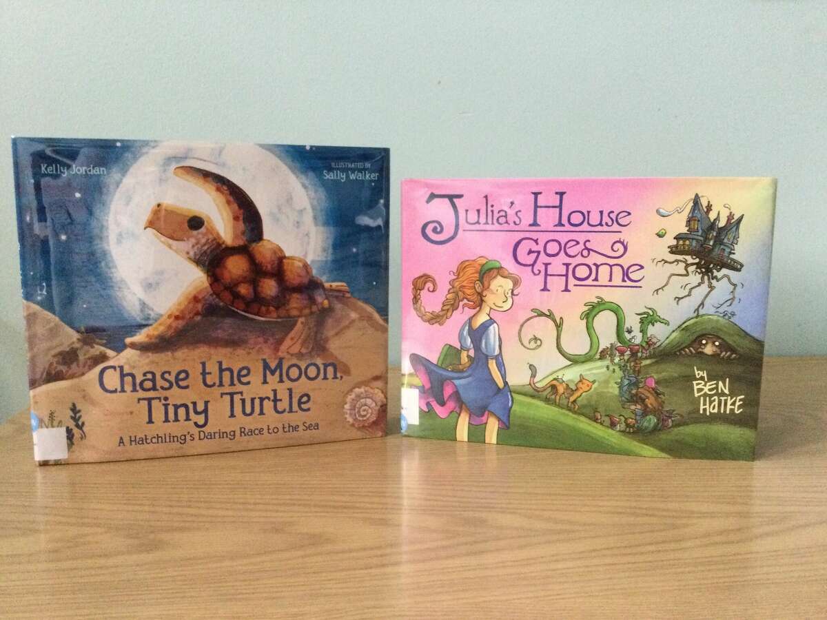 Chase the Moon, Tiny Turtle: A Hatchling's Daring Race to the Sea [Book]