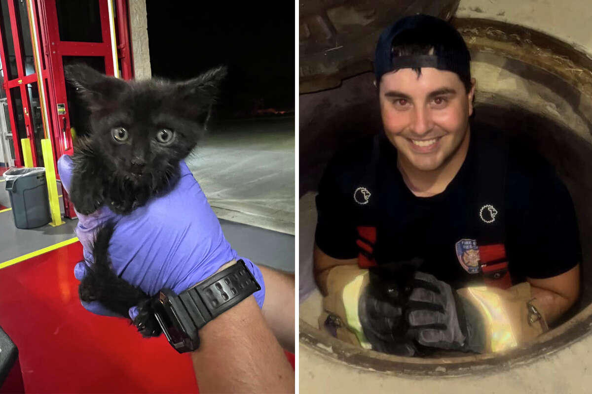 Marcelo Rosario (right) was among the Katy firefighters who rescued a kitten that was trapped in a storm drain on Tuesday, June 15, 2022.