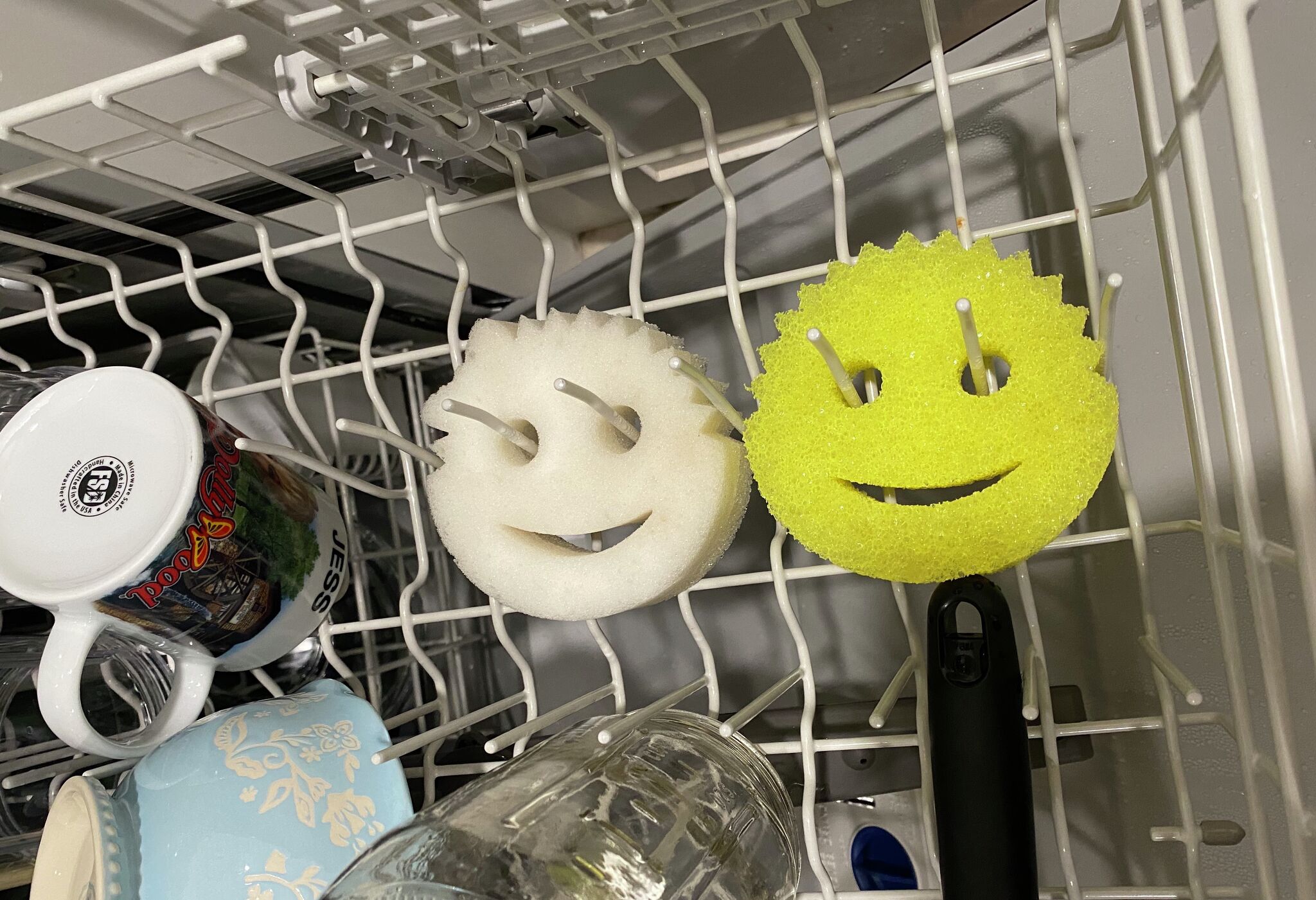 5 Reasons You Should Have a Scrub Daddy Sponge in Your Kitchen